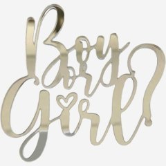 Топпер декоративный акриловый "Boy or Girl" Серебро 
