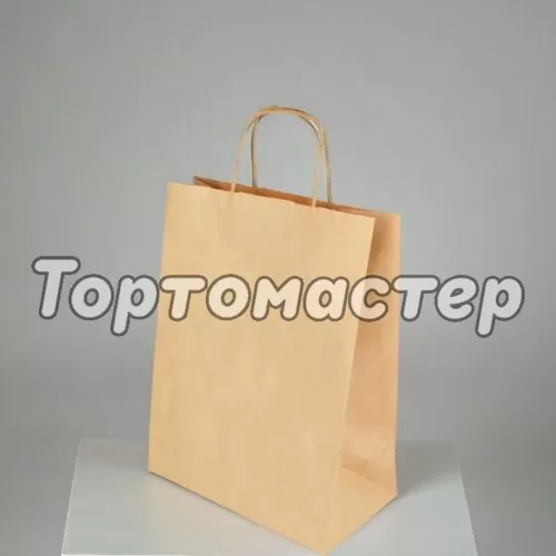 Пакет бумажный с ручками Крафт 26х15х35 см OSQ CarrBag TW 260